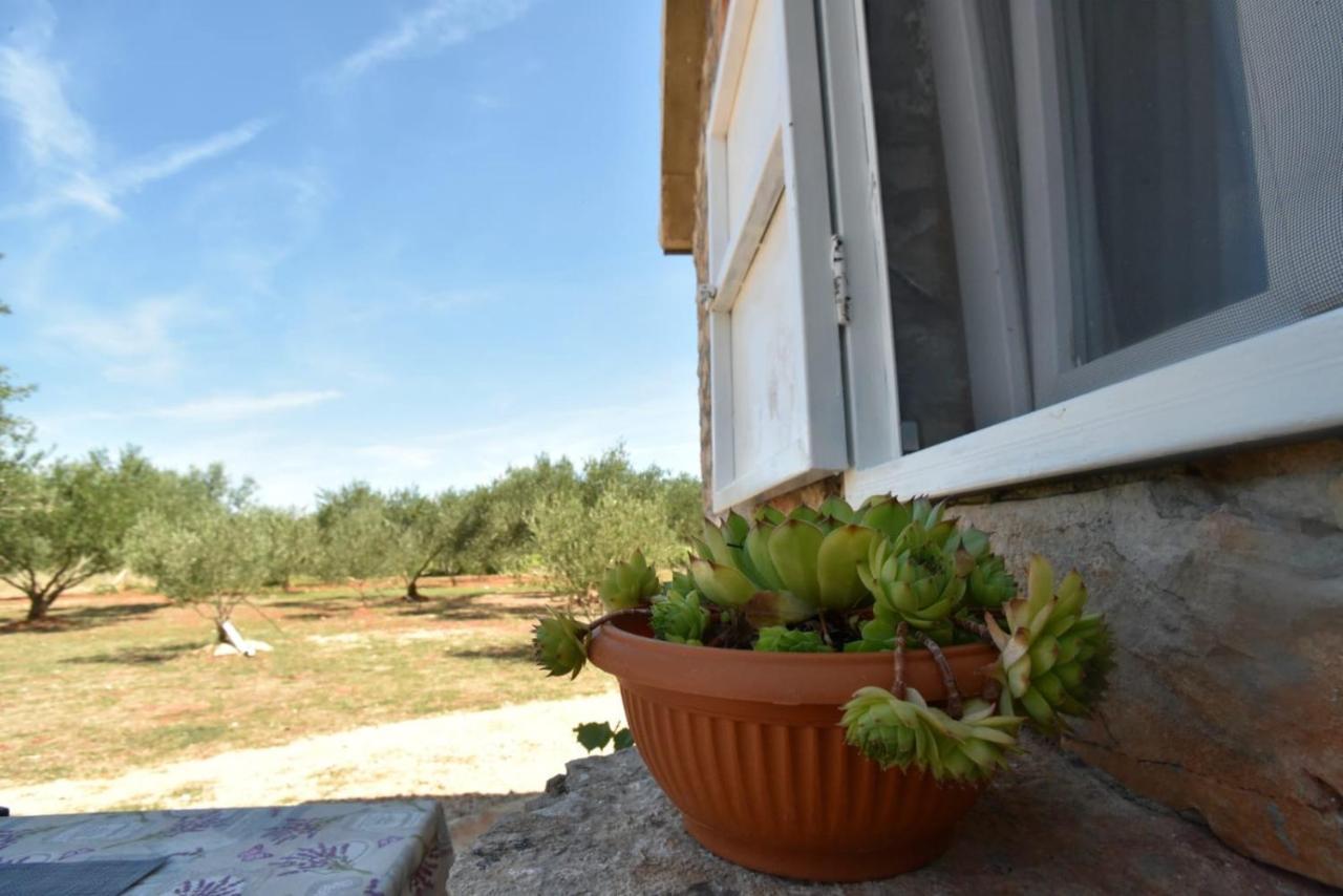 Cottage Rugonj Stari Grad  Zewnętrze zdjęcie
